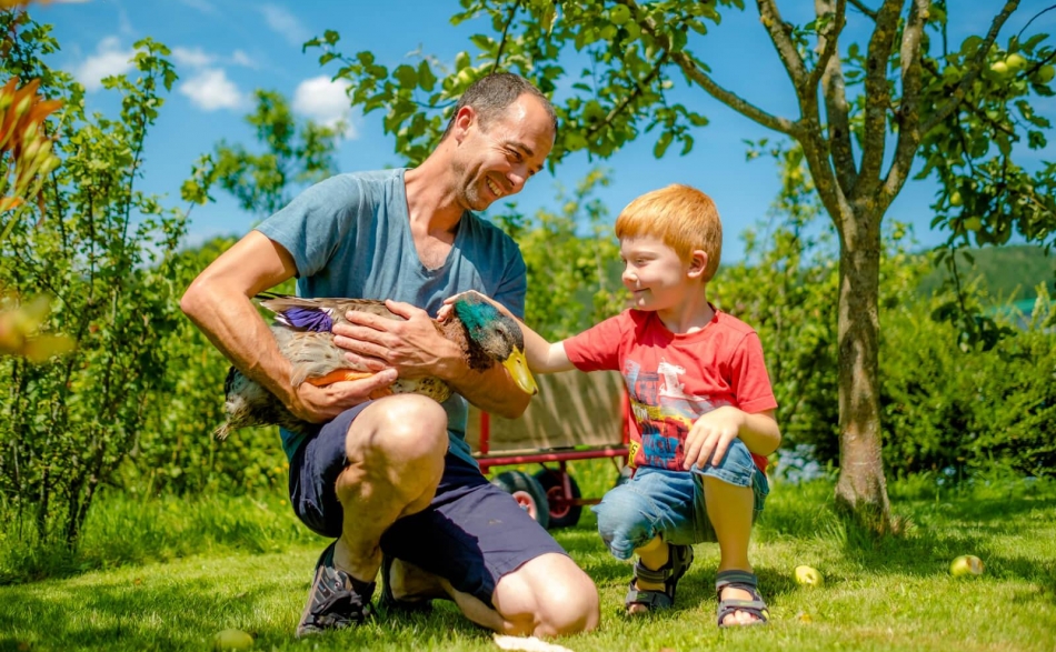 Tiere am Bauernhof Ebner