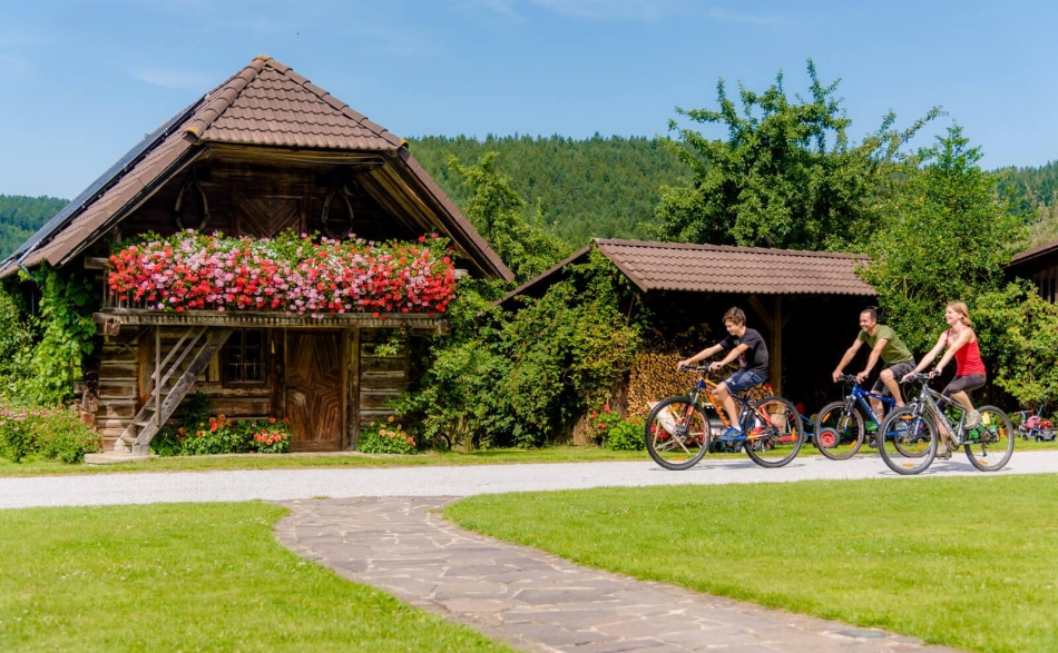 Urlaub am Bauernhof bei Ebner in Waisenegg
